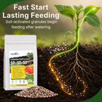 Astevora 10-10-10 granular fertilizer for balanced plant nutrition, greener foliage, stronger roots, and fuller blooms
